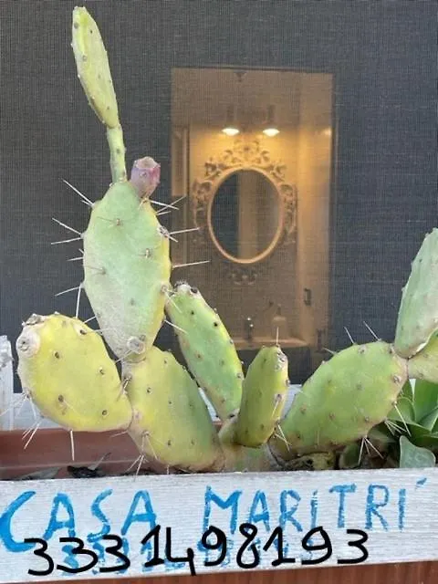 Casamari Apartment Marzamemi